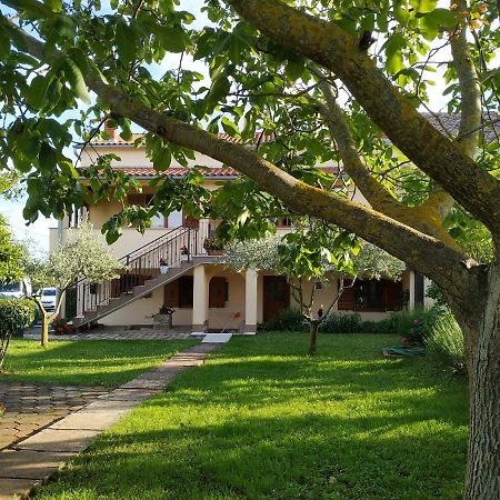 Apartment Dado Porec Exterior photo